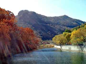 新澳天天开奖资料大全旅游团，站群助手